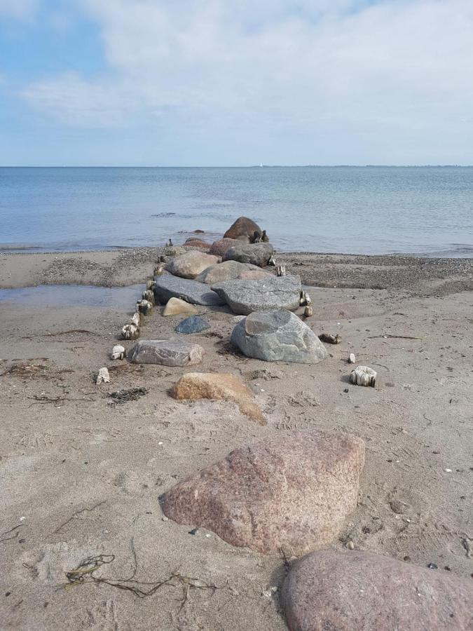 Ferienwohnung "Luv" Grube Ostsee Екстер'єр фото