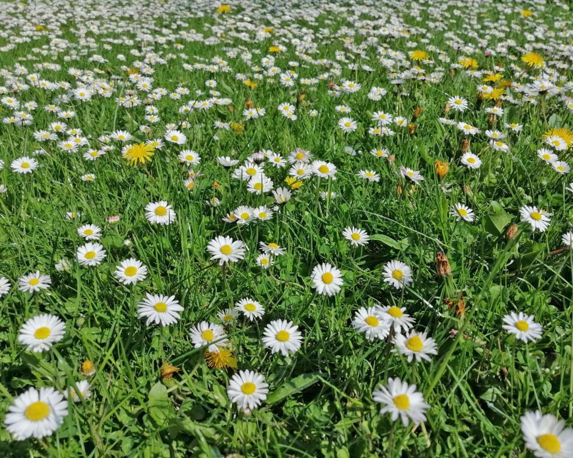 Ferienwohnung "Luv" Grube Ostsee Екстер'єр фото